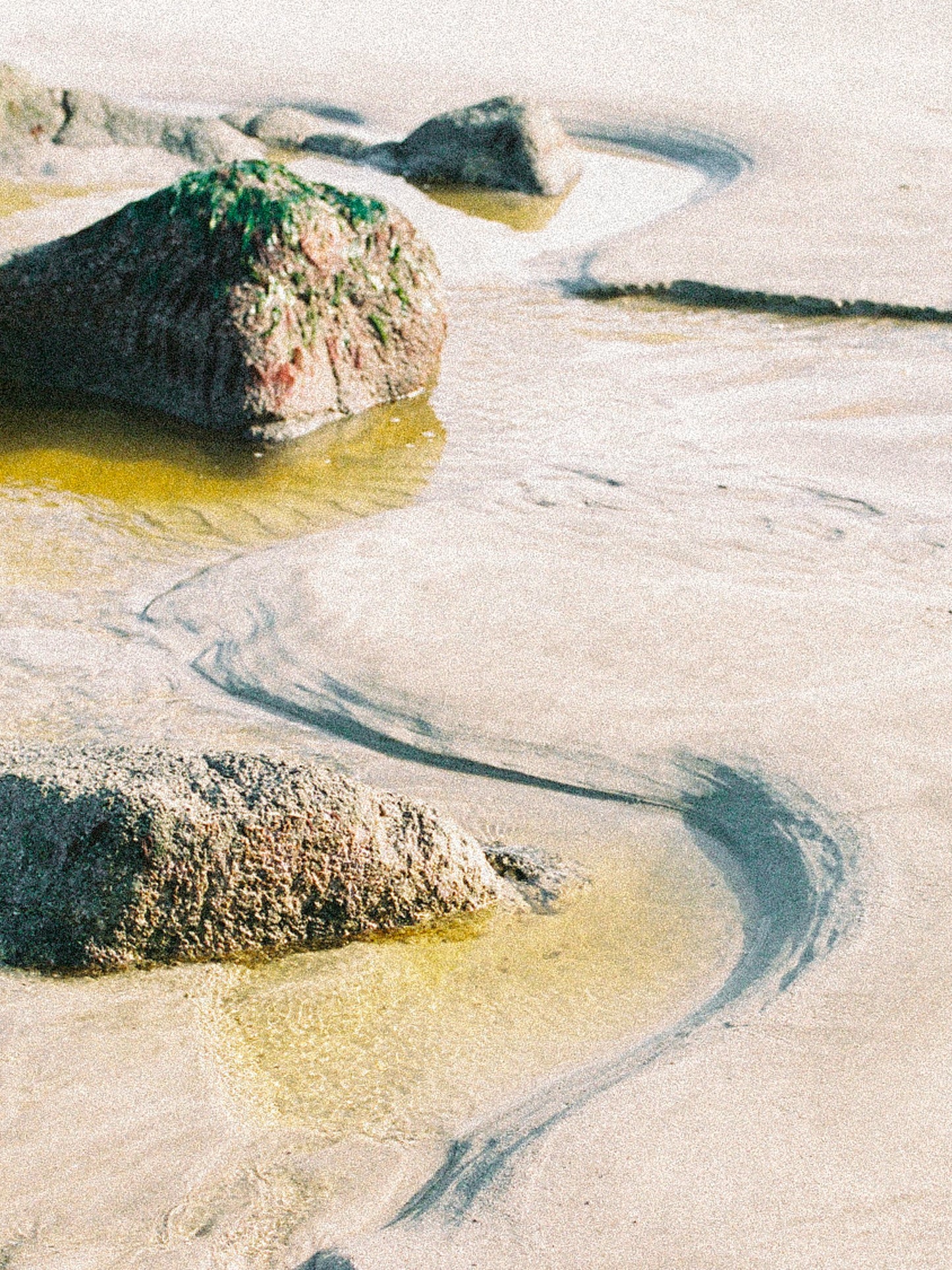 Initiating the Conscious Wedding Journey
