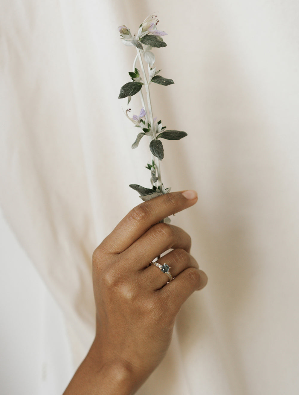 Liquidation — Dianthus Solitaire — Montana Sapphire