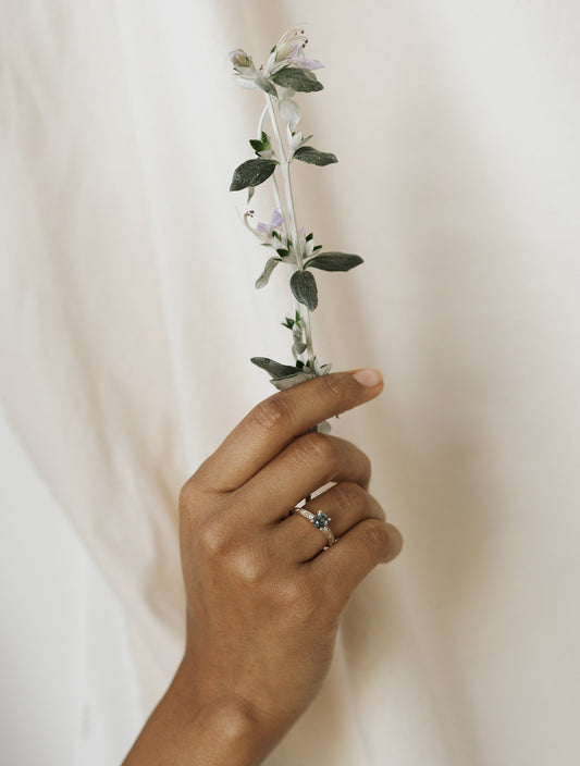 Liquidation — Dianthus Solitaire — Montana Sapphire